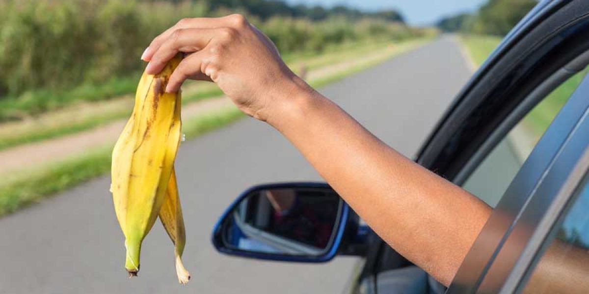 PeriodicoHoy's tweet photo. #PeriódicoHOY: Ministro de Medio Ambiente: habrá medidas drásticas contra quienes lancen residuos plásticos en vías públicas #ElPaísHOY  https://t.co/1e73OcGAwK https://t.co/XWjyXrus0t