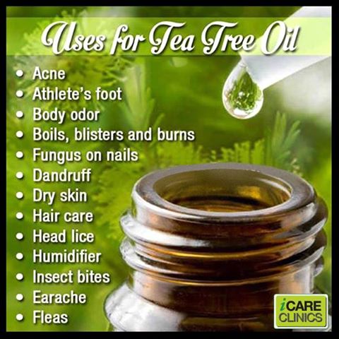 EarthElementsJA's tweet image. So many great applications for tea tree oil. Another #multifaceted product from #earthelementsja