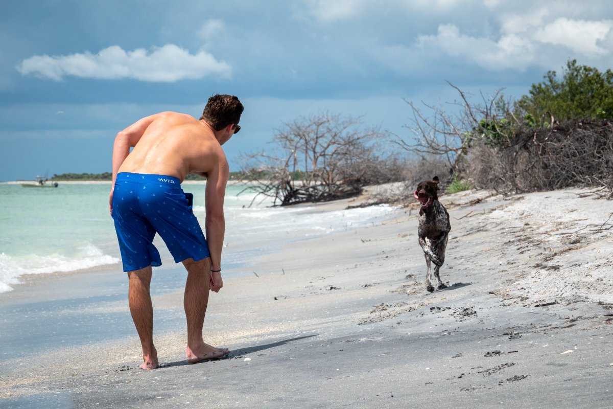 avidgear's tweet photo. Run Wild #AVIDgear #AVIDArmy https://t.co/cjjDOa9RGM