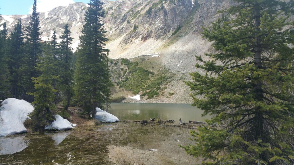 Sasquatch_Sam's tweet photo. Hung out in the sun for a while, I love summer.
Tossed a loud annoying coyote way out there into the middle of my lake a few minutes ago. Hope that asshat can swim, didn't think to ask. #forestproblems https://t.co/9AL20OQrpy