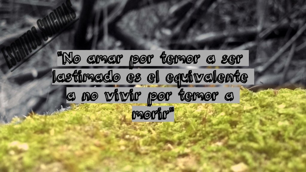 Alanjenofones's tweet photo. Todo mata, todo duele, no hay cosa que no lo haga en el mundo, así que porque privarse de amar? https://t.co/myjhBdHpRT