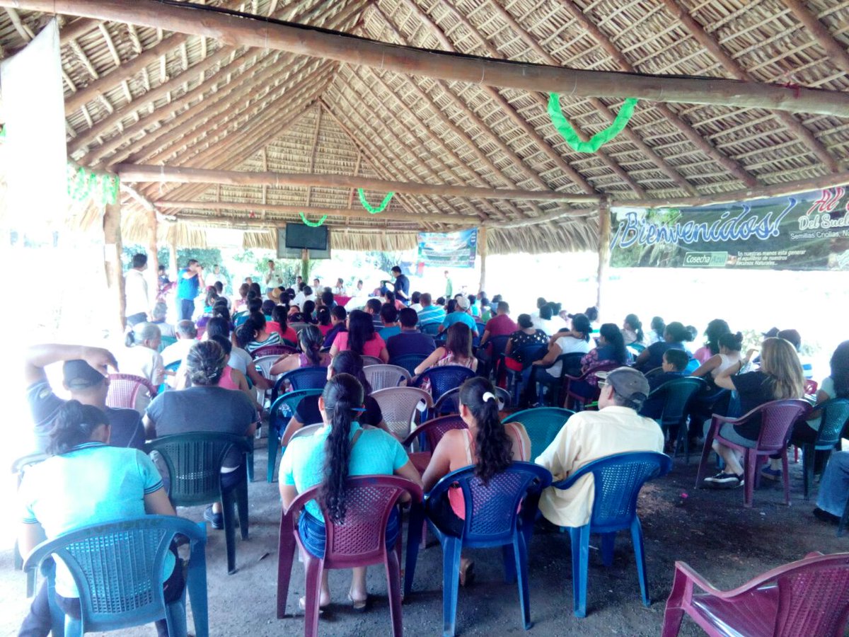 #plan10 Gobernadora Yessica Valdez  junto a Asambleas Ciudadanas de Turín y San Lorenzo participan en la 2° Campaña Plantatón 2018 en la Cooperativa El Jícaro del municipio de San Lorenzo, Ahuachapán
#SigamosCreandoFuturo  #GobiernoDeElSalvador #Plantatón2018