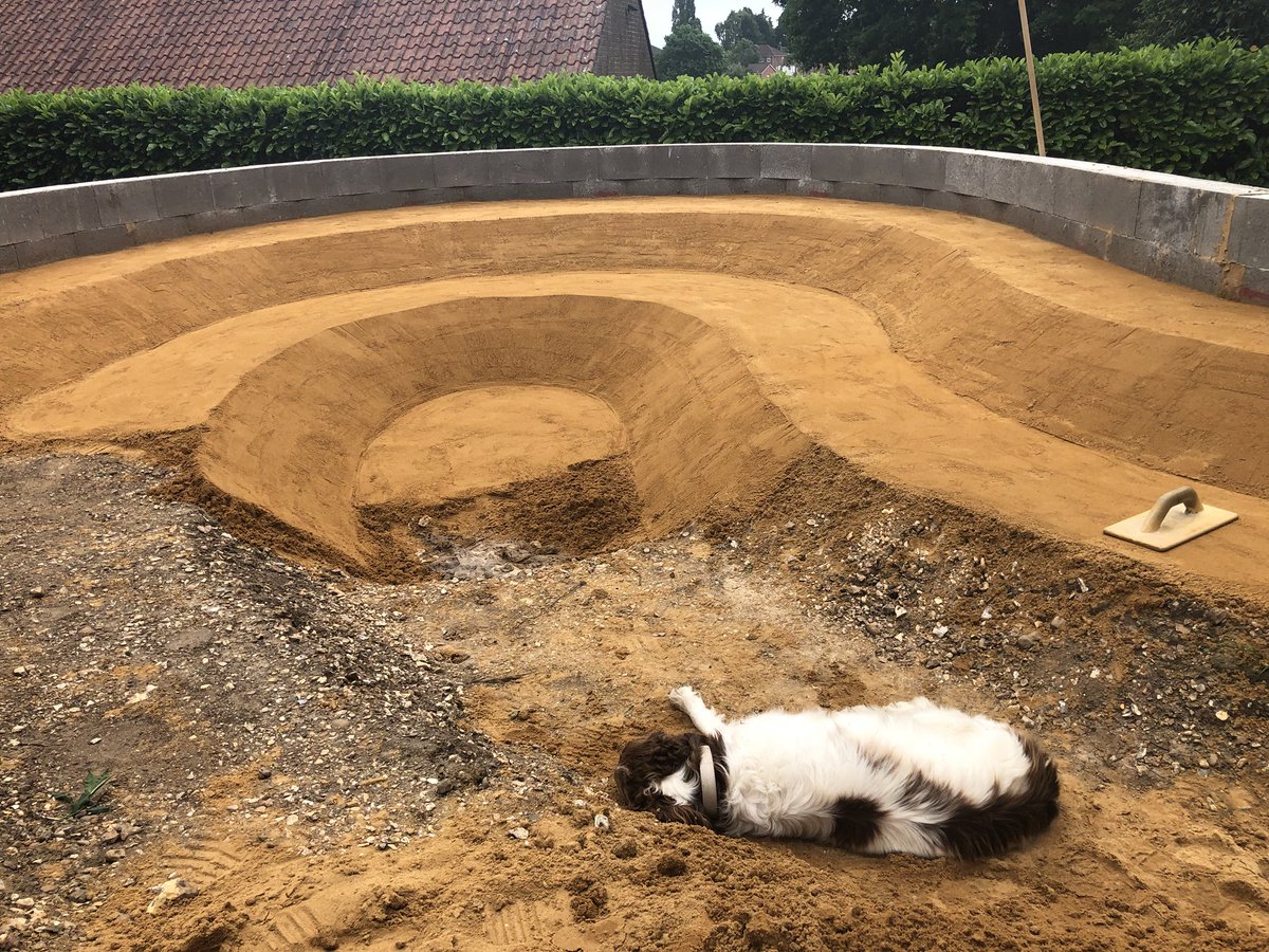 crgroundwork's tweet photo. We’re bringing in topsoil from @raymondbrown to create the new main lawn area. There are amazing flowers in the raised beds and the pond is coming along nicely. #colinrogersgroundwork #avizestructuralengineering #tealsgardeningservices #raymondbrown #dogwonder https://t.co/LRyBr7SNRz