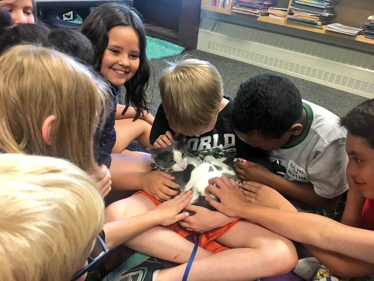 WW_3rd's tweet image. Today, just in the knick of time, my class filled their positive pebble jar! They’ve been working all year to show positive behavior, earning one pebble at a time. They were so proud, but didn’t want a party!! They wanted to meet Cam, Mrs. Weights kitty. Wish granted! ✅😽👏🏽