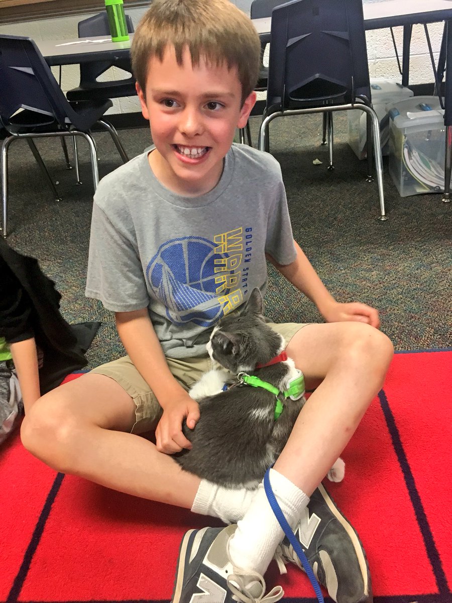 WW_3rd's tweet image. Today, just in the knick of time, my class filled their positive pebble jar! They’ve been working all year to show positive behavior, earning one pebble at a time. They were so proud, but didn’t want a party!! They wanted to meet Cam, Mrs. Weights kitty. Wish granted! ✅😽👏🏽