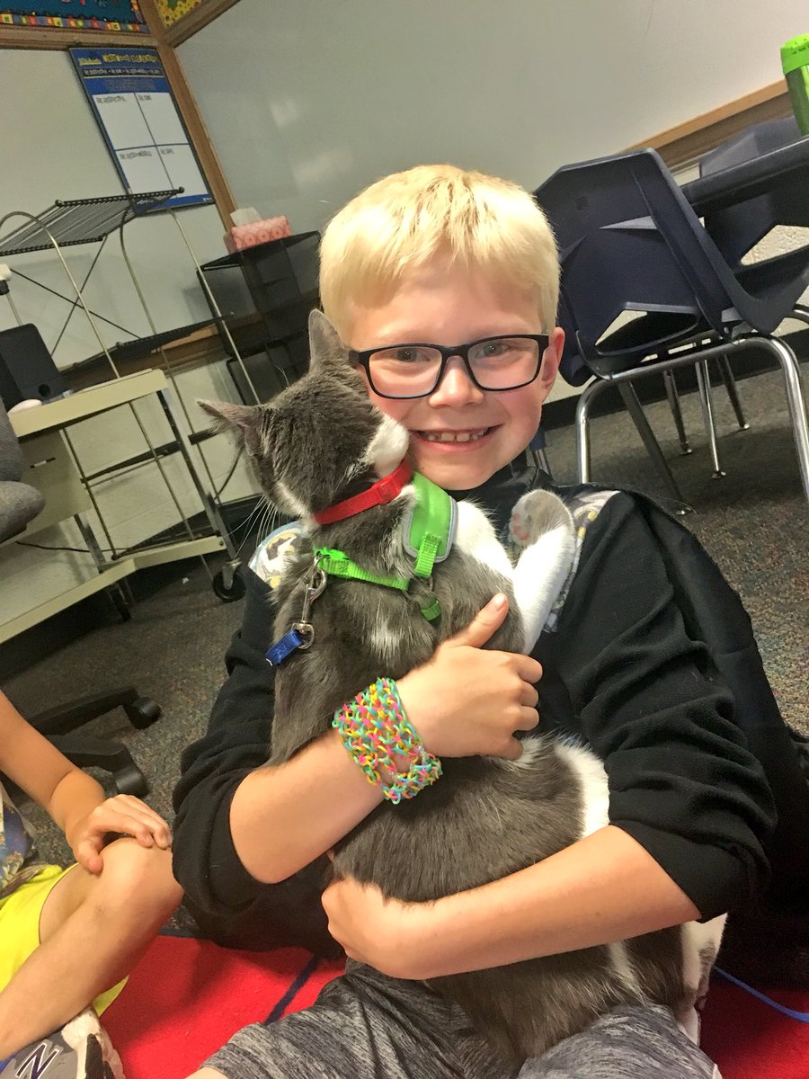 WW_3rd's tweet image. Today, just in the knick of time, my class filled their positive pebble jar! They’ve been working all year to show positive behavior, earning one pebble at a time. They were so proud, but didn’t want a party!! They wanted to meet Cam, Mrs. Weights kitty. Wish granted! ✅😽👏🏽