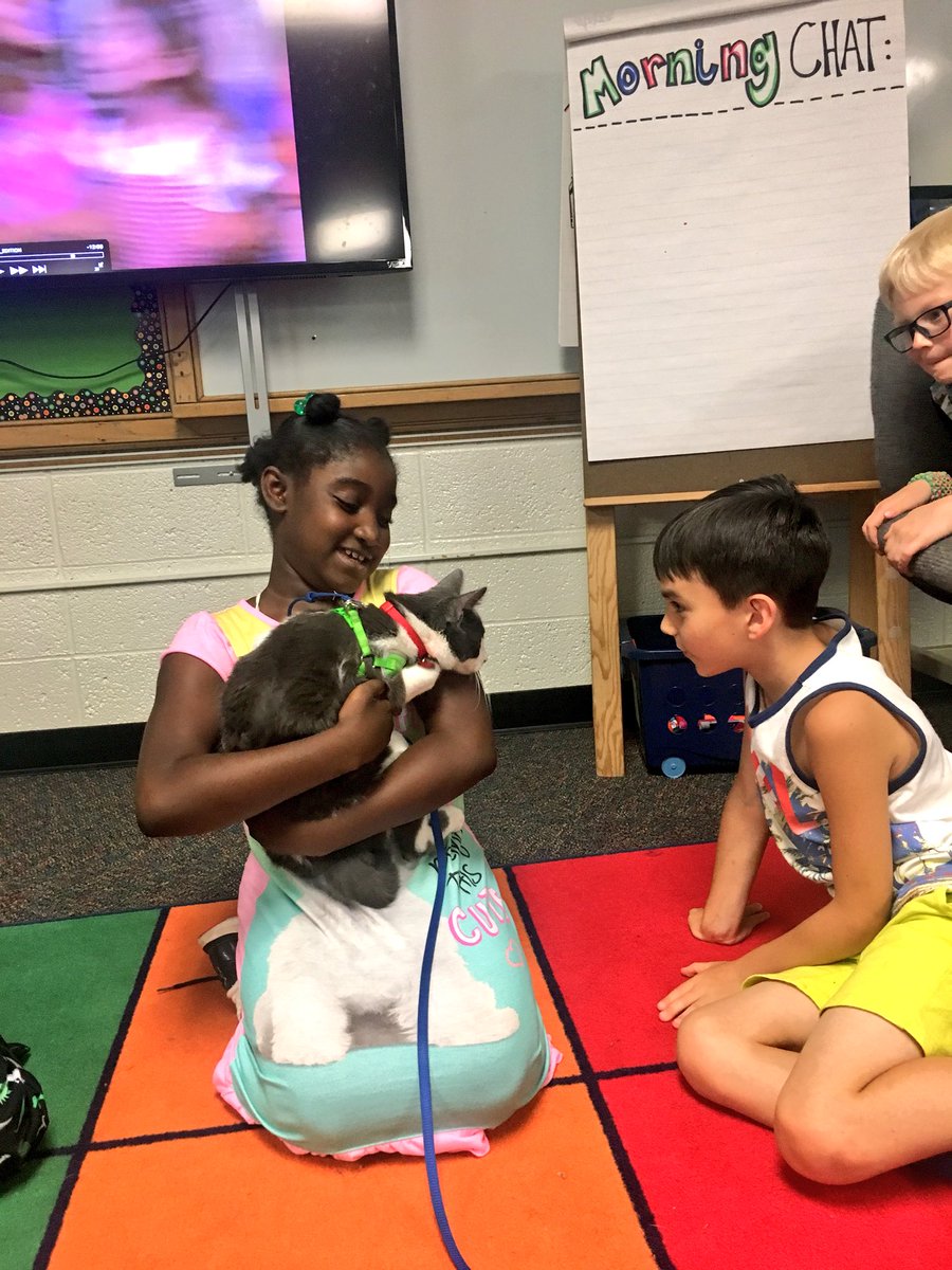 WW_3rd's tweet image. Today, just in the knick of time, my class filled their positive pebble jar! They’ve been working all year to show positive behavior, earning one pebble at a time. They were so proud, but didn’t want a party!! They wanted to meet Cam, Mrs. Weights kitty. Wish granted! ✅😽👏🏽