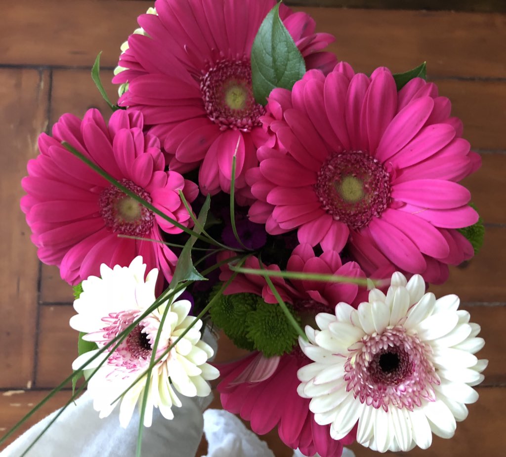 AlyxSacksKCCI's tweet image. His participation in my quest to always have fresh flowers in our home is always clutch. #happywife #youknowtherest