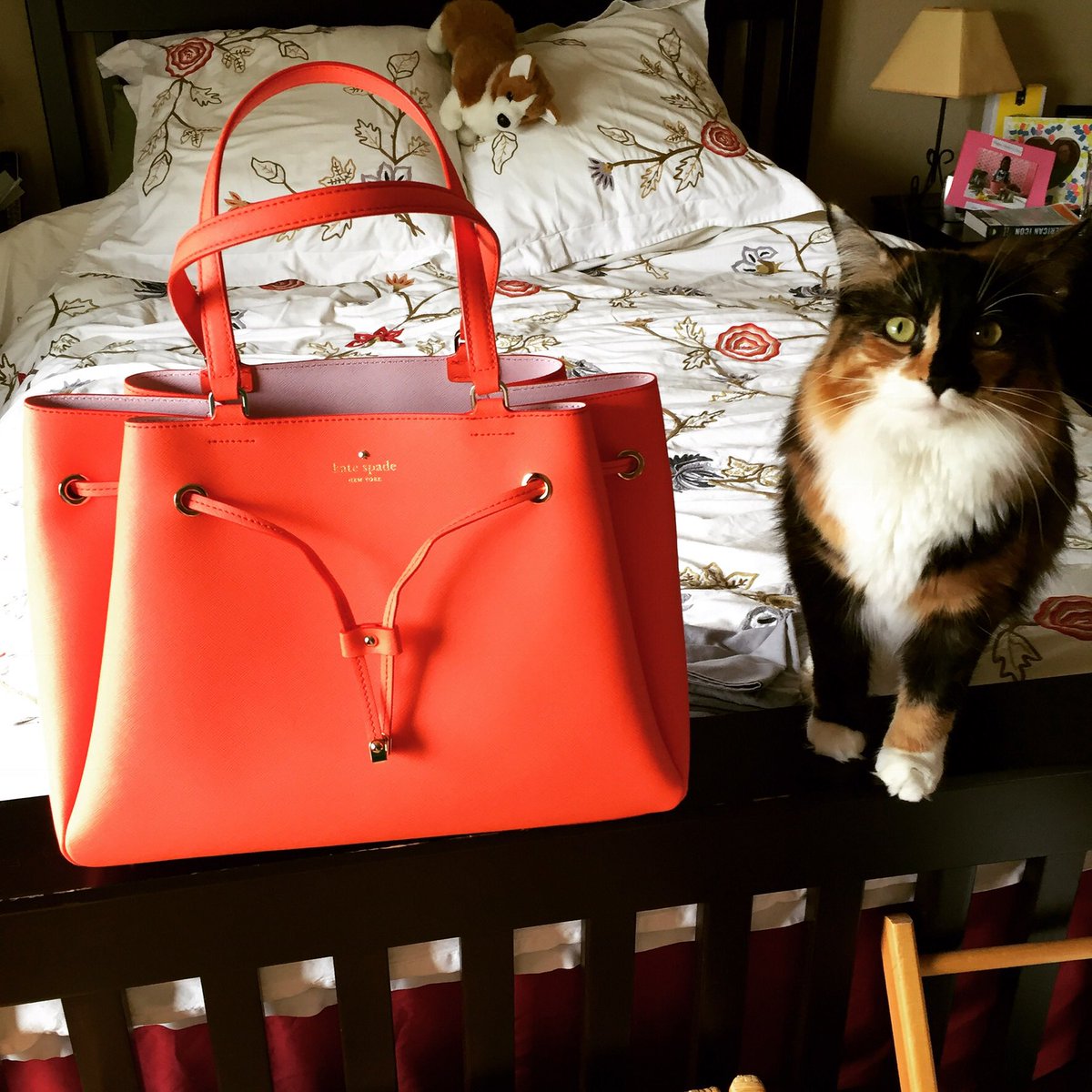 kamseattle's tweet photo. RIP #KateSpade 😢 One of my favorite @NPR podcast #howibuiltthis was Kate &amp; Andy Spade’s story.
https://t.co/M6dMsKB0DT https://t.co/CfWbP9eh7B