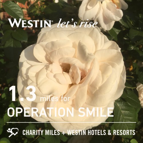 LatersBabyUK's tweet photo. #FiftyFans @Fiftys_fitties I did 1.3 @CharityMiles for @operationsmile. Thanks to @Westin for sponsoring me. #RunWestin #LetsRise #LetsRose https://t.co/EczAZmx5YX
