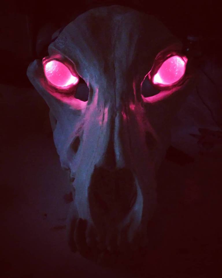 DynamiCatStudio's tweet photo. WIP!
We are using our own resin base π
https://t.co/lDfyPfKrHw
#glow #skull #mask #fursuit #fursuitmaker #dynamicatstudio https://t.co/UJuMXnUay1