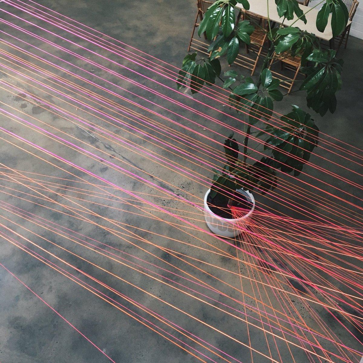 SPURperth's tweet photo. Head down an unassuming driveway in #Booragoon’s industrial area and you’ll find @FeldandCo, home to our latest installation of #99lines 💫 https://t.co/uDPcB23GuM