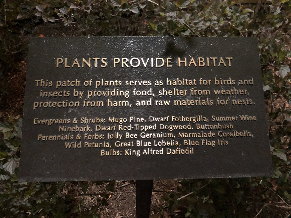 dbhagenATX's tweet photo. @chef, we were walking back from the celebration, and there’s this “plants” thing trying to edge in on y’all. Just a friendly warning. #ChefConf #ChefConf2018 #habitat https://t.co/72grvnzZie