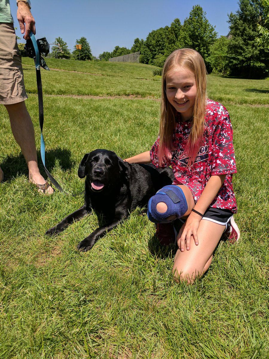 kputnick13's tweet photo. Next up for #teachalesson , Kate shares the sweet story of Shadow! #kidsteachingkids #dogsatschool https://t.co/BjdKxfQERA