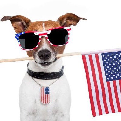 doggiemama1973's tweet photo. In Remembrance this Memorial Day...to those that served and those that gave all. 🇺🇸🇺🇸🇺🇸 https://t.co/xJ8EvCes2v