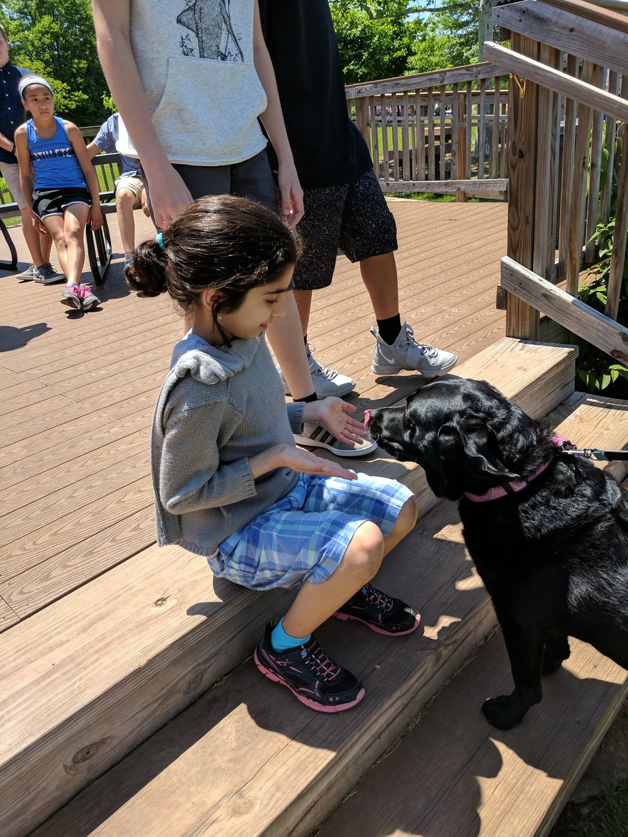kputnick13's tweet photo. Next up for #teachalesson , Kate shares the sweet story of Shadow! #kidsteachingkids #dogsatschool https://t.co/BjdKxfQERA