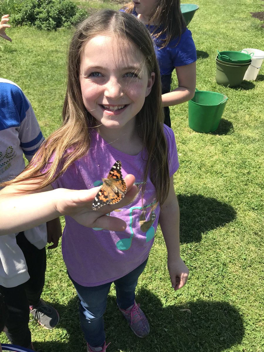 SoutholdScience's tweet photo. Adults @southoldelem https://t.co/b5omNCF9mR