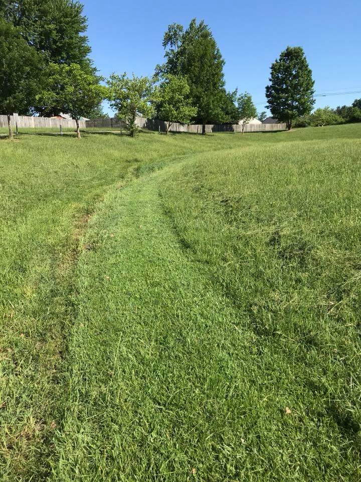 Thank you Pickett's Lawn Service &amp; Landscaping for getting the grounds ready for field day.  You're awesome!