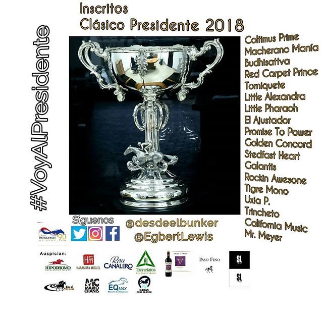 telebunker_'s tweet photo. Inscritos 
#ClásicoPresidente #Panama
#VoyAlPresidente
#HipodromoPa @hipicaglobal
@joebrunopr @JCasis25 @yuyocandanedo @EgbertLewis @HipodromoPA  @josemiguel1956  @htzanetatos @Deliacmf #HarasSanMiguel #MarioChanis #Eqmax #RonCanalero #PasoFino #SecoSL #PasoaPaso #harascasab… https://t.co/EvGbSZnbGM