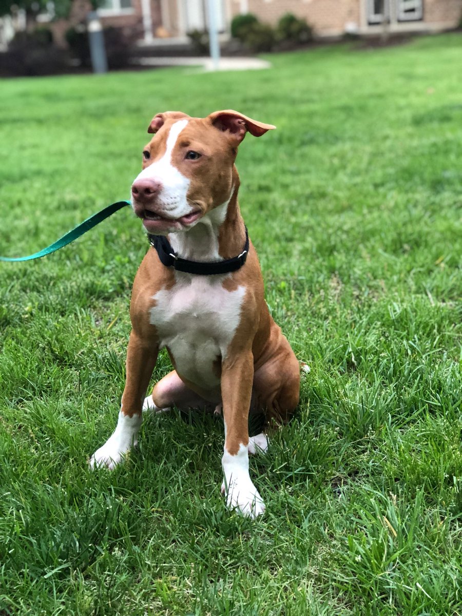 _ChrisRoyal's tweet photo. Everyone meet my son, Ace
📸: Rese https://t.co/E7TGaXgzt0
