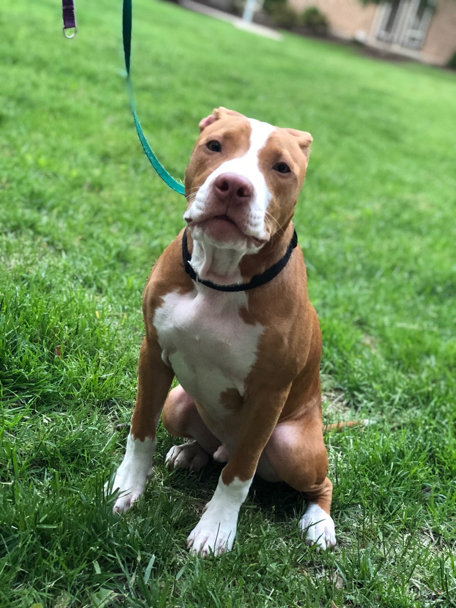 _ChrisRoyal's tweet photo. Everyone meet my son, Ace
📸: Rese https://t.co/E7TGaXgzt0