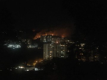 Ver imagen en Twitter