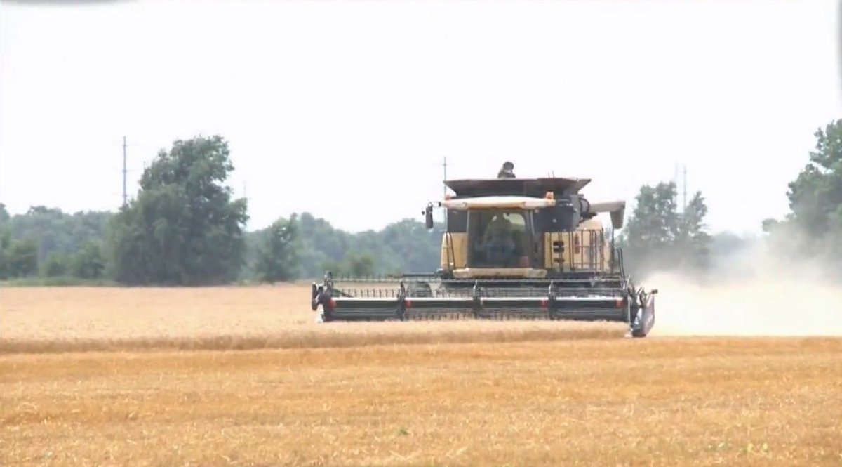 RT_America's tweet photo. Farm Bill Impact Unknown says Farm Union President (VIDEO) https://t.co/EFamPTwSh6
@NewswithEd #RogerJohnson #Farm #Farming #FarmBill #TradeWar #Trade #China https://t.co/hijGmvicCM