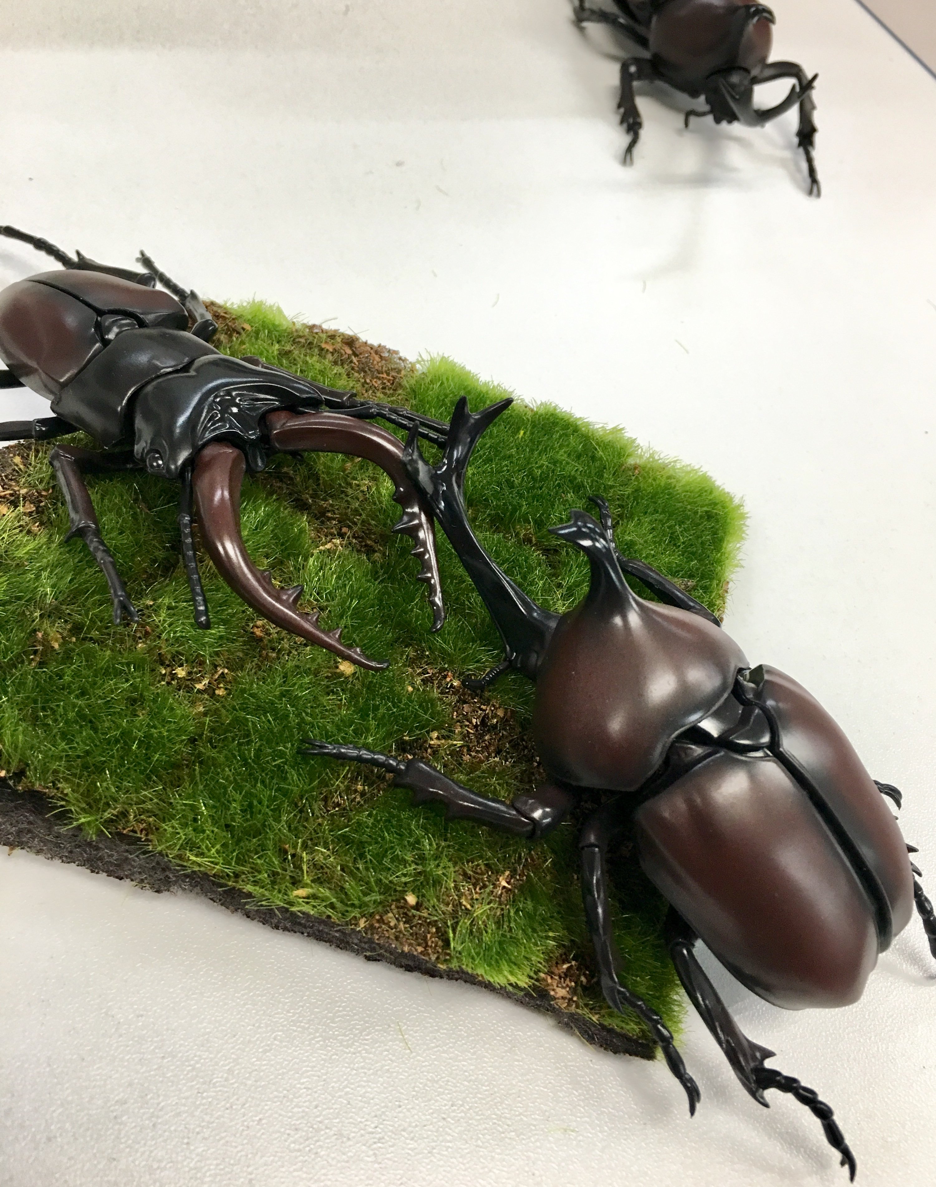 フジミ模型 公式 自由研究シリーズ 8月発売新製品 カブトムシ Vs クワガタムシ こんな対決シーンも再現できちゃう フジミ カブトムシ クワガタ T Co Cek41vj4ei Twitter
