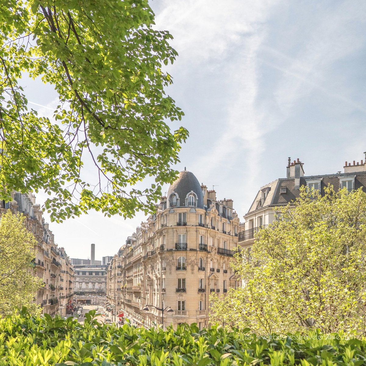 tbtwife's tweet photo. Parisians are so lucky to have this view for their morning run! 😍 #paris #travel https://t.co/jnj0dmdHz9