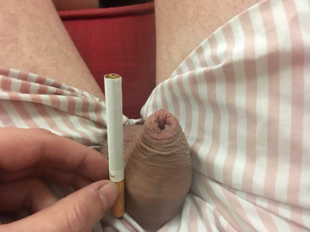 MMMpuppy's tweet photo. @MetalxMegan @smalldick_loser @RIPTORN92 @DaizieGotPastie Here Mistress https://t.co/rDnZrVqviF