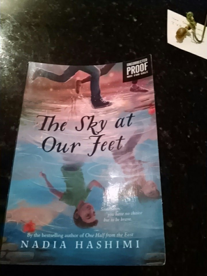 Praise for Nadia Hashmimi's newst novel, the sky at our feet.  I fell in love with Max and Jason D.  Love the theme of courage.  Fav line-.' It's a lot easier to be scared together'.  A must read#collabookation