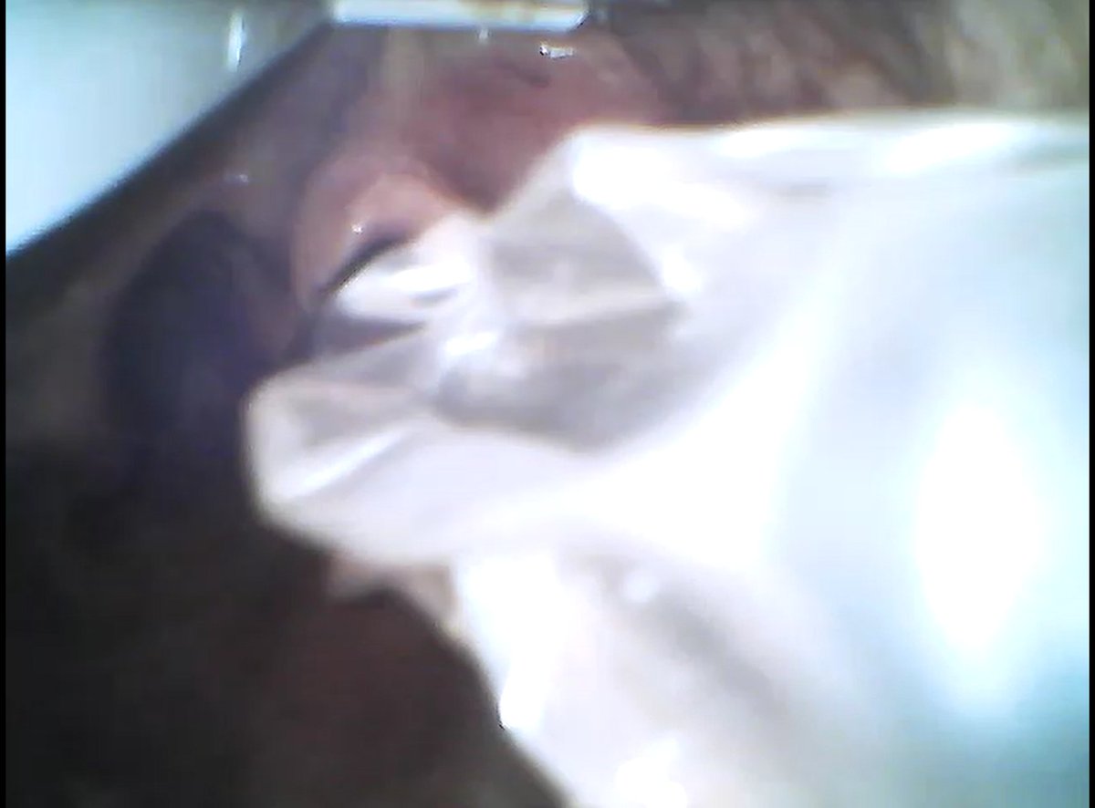 Collected Clinical Tips From Advanced Emergency Nursing Journal