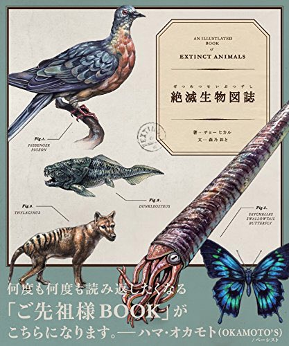 bird graphics on twitter 絶滅生物図誌 チョーヒカルhttps t