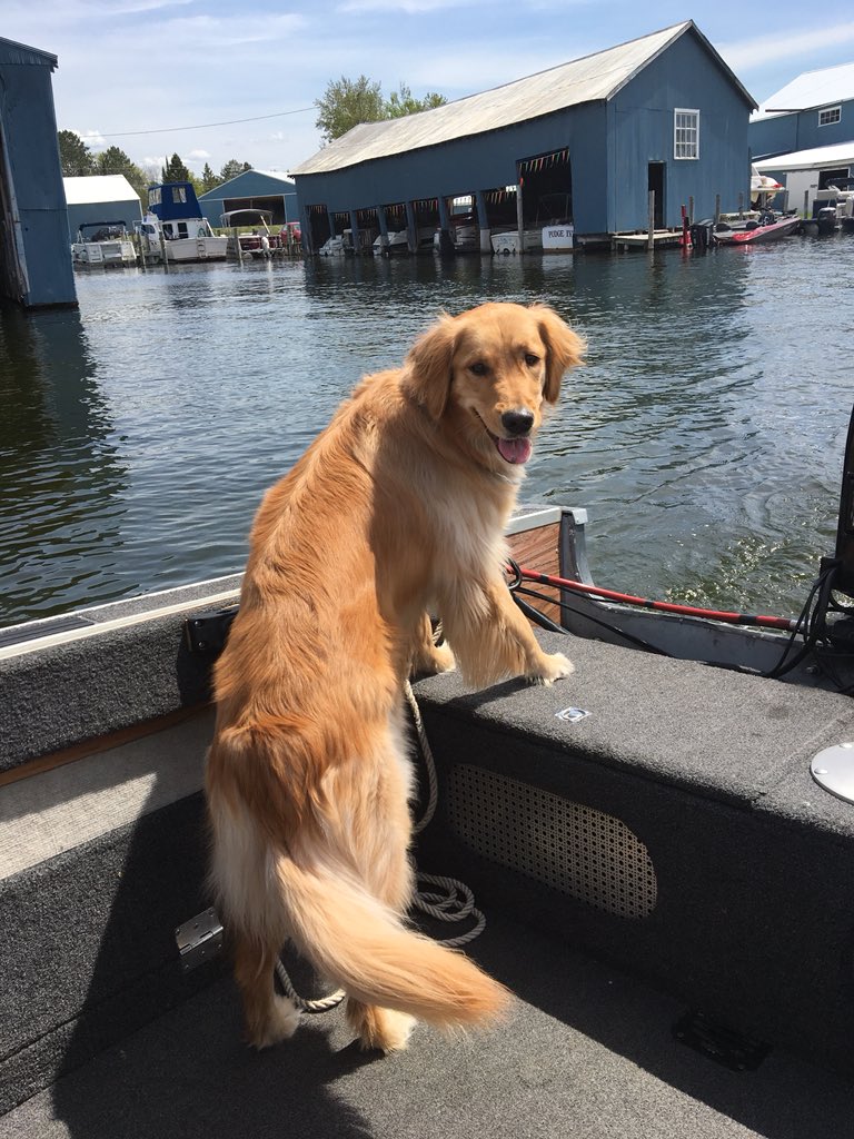 After a long winter, summer is here! #NorthernMichigan #IndianRiver #UpNorth #Boating