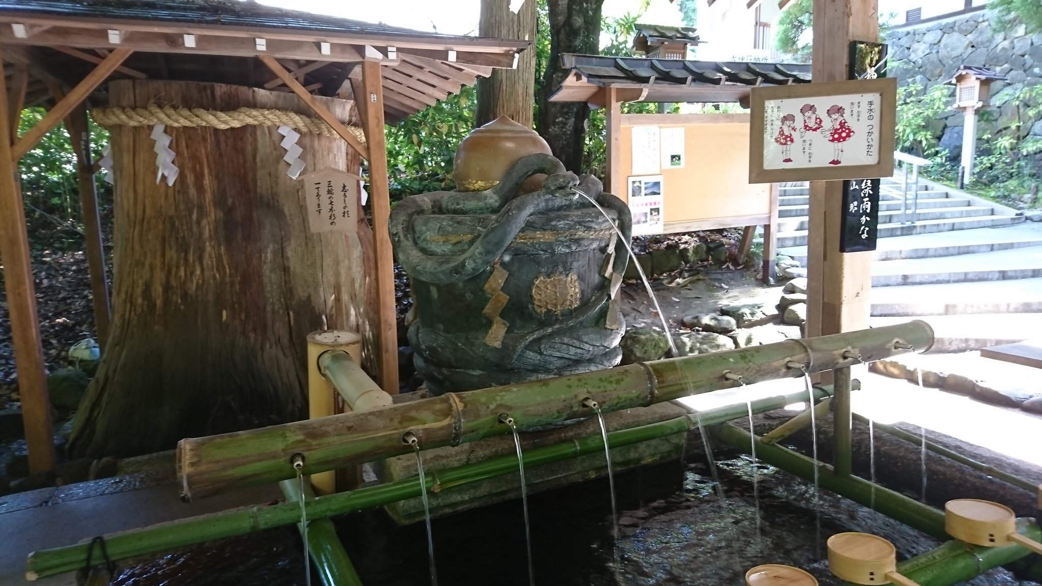 しず姐 大神神社の手水舎の水が出てくるところは蛇 巳 になってます そして 境内には巳の神杉があり こちらに 卵とお酒をお供えすると良いですよ B 参道のお店に売ってます T Co Yksx8pl3qm Twitter