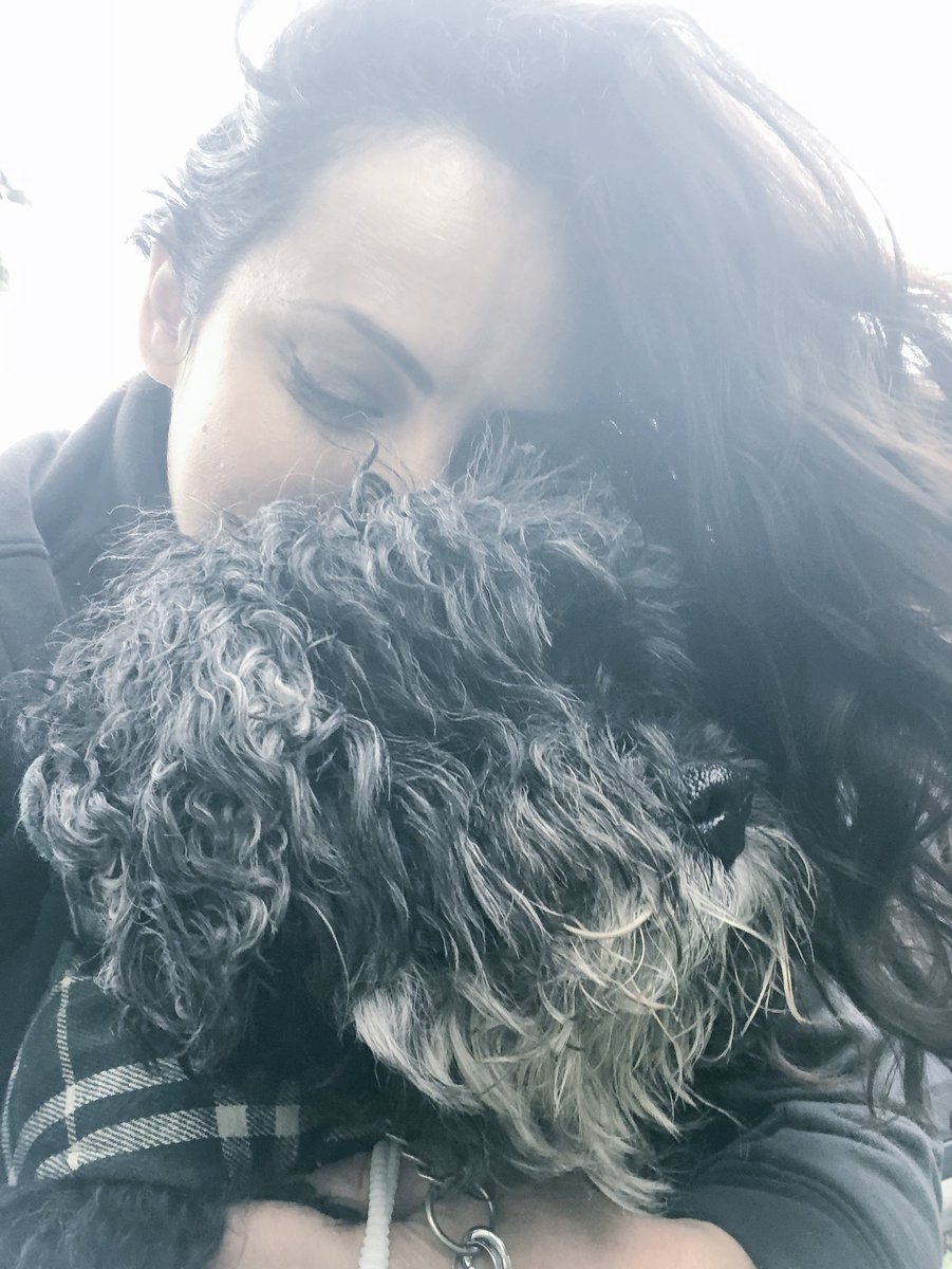 GinaGrad's tweet photo. They don’t make’em classier than this guy...

#GeriatricPets #ClassicPlaid #VetSaidKeepHimWarm #AndStylish #PerfectGentleman #MyLove https://t.co/creYH6T4Al