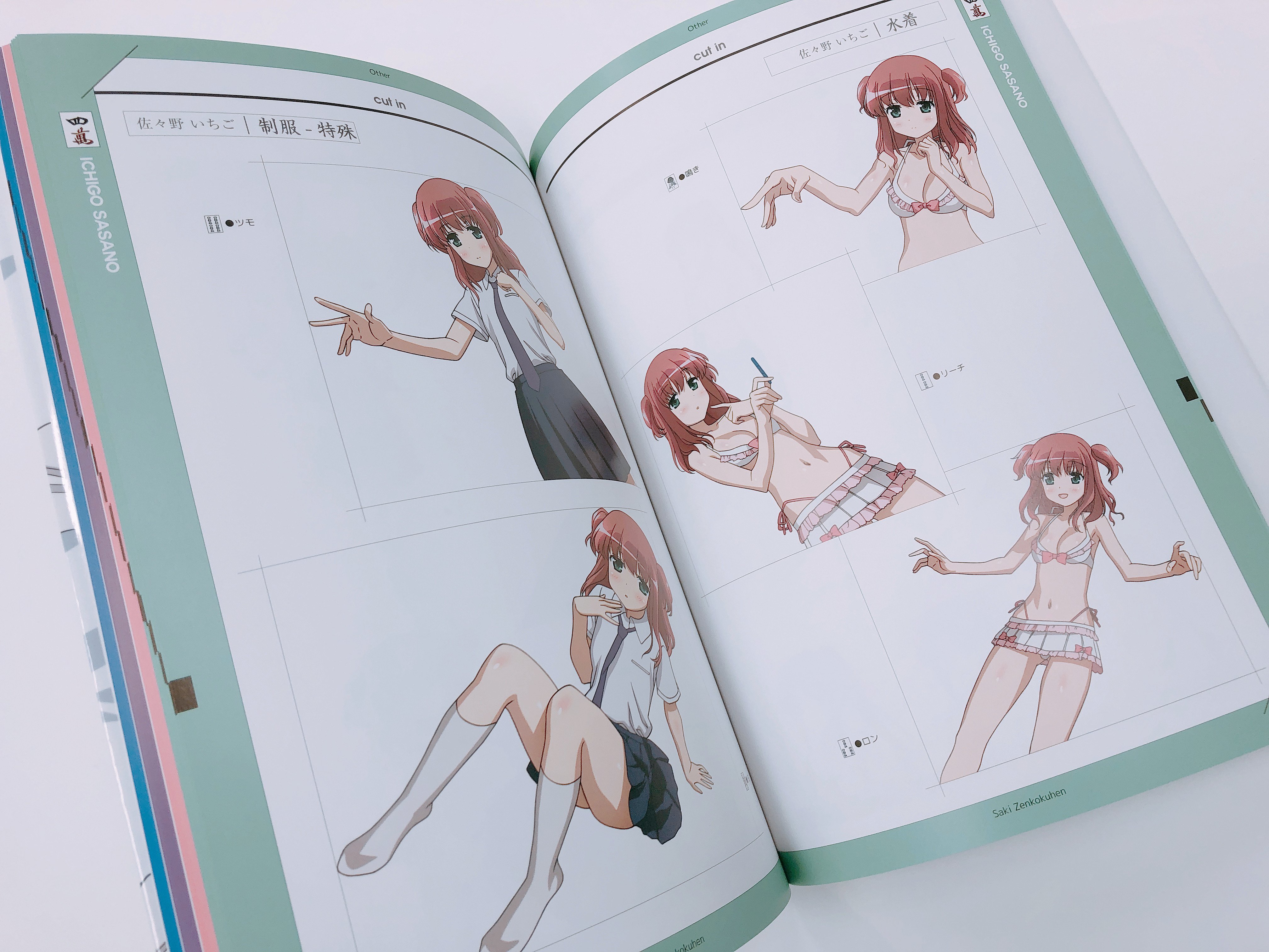 咲－Saki－ 全国編Plus ビジュアルファンブック 上・中・下巻