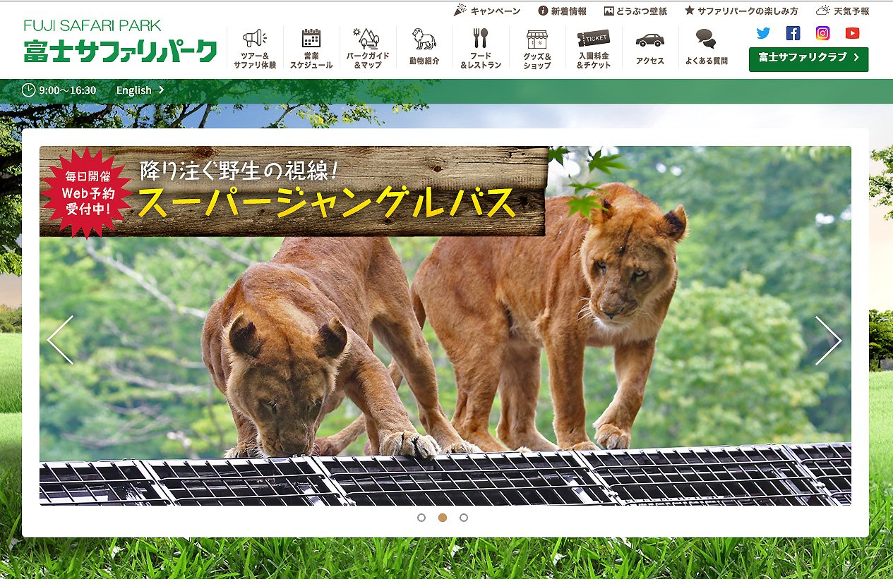 富士サファリパーク公式 V Twitter 公式webサイトがリニューアルして以降 アクセス数が増加 皆さま 閲覧ありがとうございます O 公式webサイトはコチラから T Co Tzefql90ea スーパージャングルバス 富士サファリパーク T Co Mbswy9ep7o 富士サファリパーク公式 V Twitter 公式webサイトがリニューアルして以降 アクセス数が増加 皆さま 閲覧ありがとうございます O 公式webサイトはコチラから T Co Tzefql90ea スーパージャングルバス 富士サファリパーク T Co Mbswy9ep7o