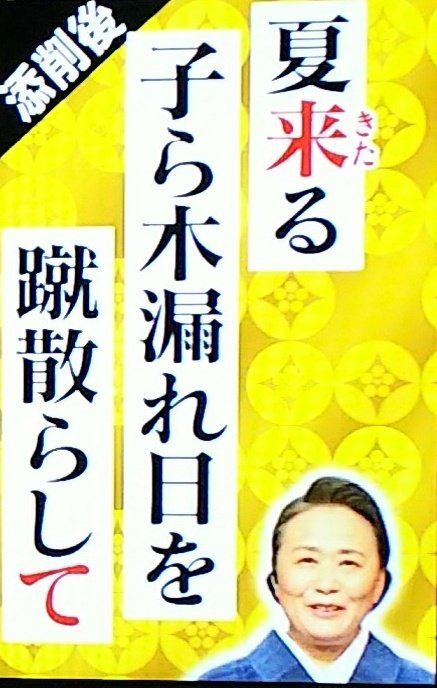 ひぃこ Feat ナミちゃん プレバト 俳句 現状維持 季語が生き生きしていない 夏井先生 夏に入る は時候の季語 映像に乏しい面を 木漏れ日 蹴散らす 子 などで補っているのは見事 ただし 夏来る としないと 溌剌感が足りない T Co O5pm1moxeh