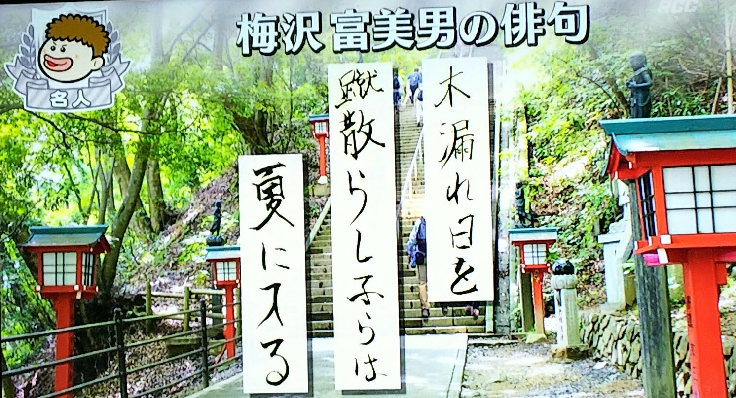 ひぃこ Feat ナミちゃん プレバト 俳句 現状維持 季語が生き生きしていない 夏井先生 夏に入る は時候の季語 映像に乏しい面を 木漏れ日 蹴散らす 子 などで補っているのは見事 ただし 夏来る としないと 溌剌感が足りない T Co O5pm1moxeh