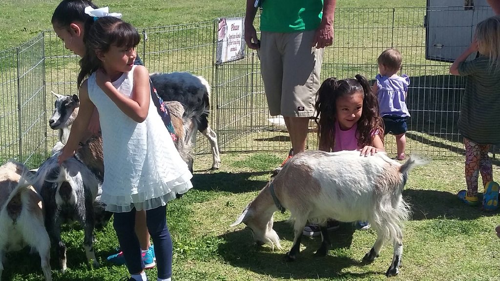 LenetteReece's tweet photo. Finishing kinder with a petting zoo!!! So much excitement! #Rundlerising #PZ7rocks #ccsdachieves #changingtheworld https://t.co/Pz0VLtnqOW