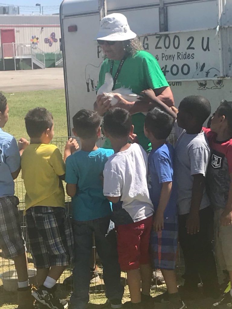 LenetteReece's tweet photo. Finishing kinder with a petting zoo!!! So much excitement! #Rundlerising #PZ7rocks #ccsdachieves #changingtheworld https://t.co/Pz0VLtnqOW