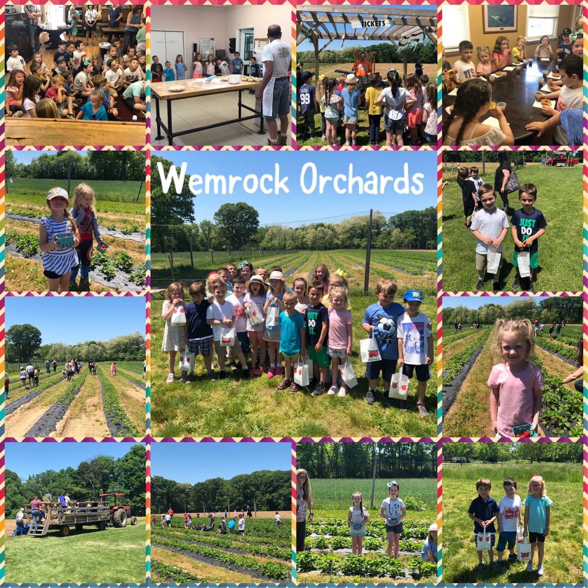 Erin Aiello tweet media