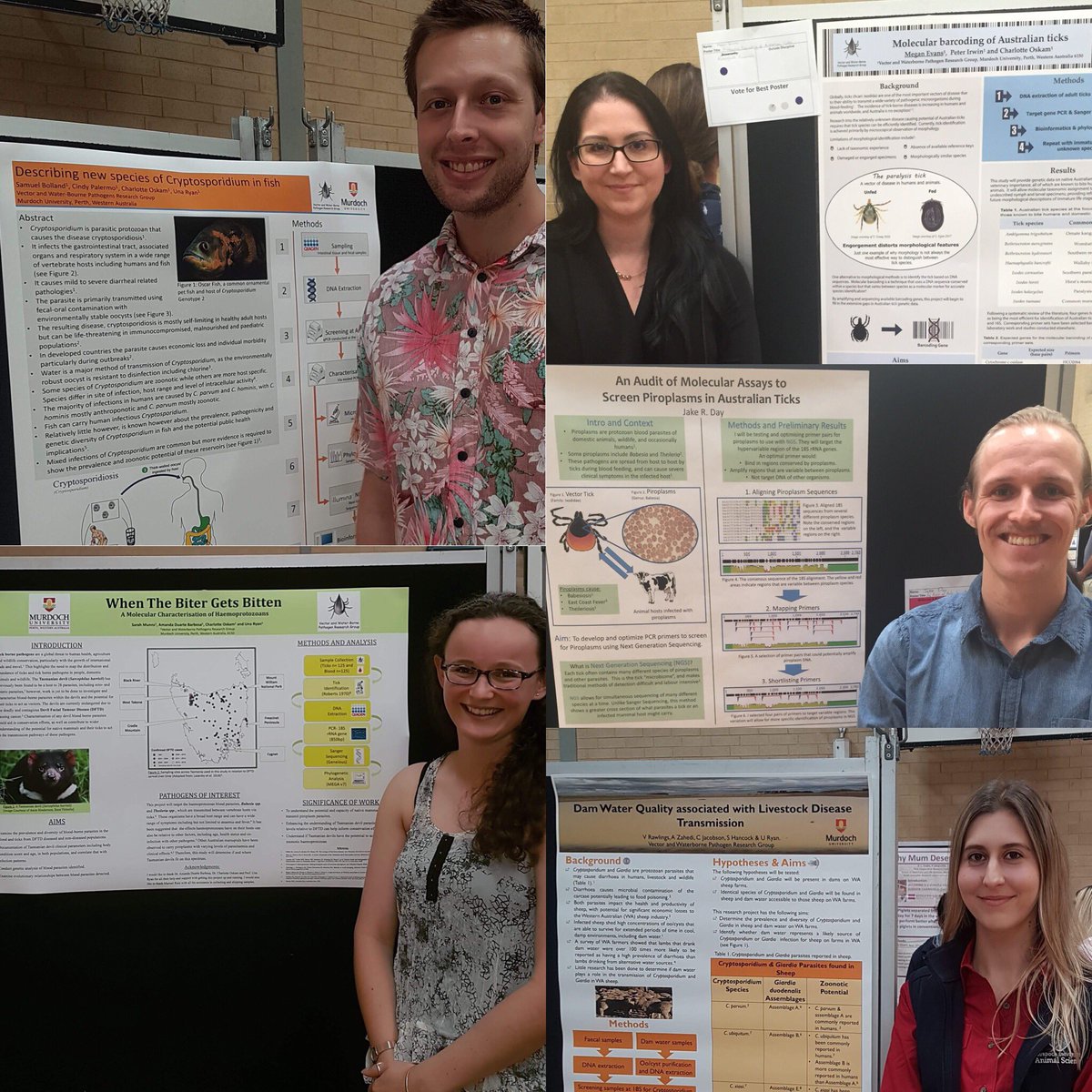 cryptick_lab's tweet photo. Here’s our #crypticklab honours students presenting their projects at the @VetLifeScience @MUniResearch #posterday. Well done team! #cryptosporidium #ticks #parasites #pathogens #piroplasms #barcoding https://t.co/cu13cvLVv7