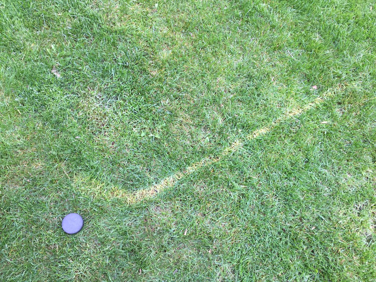 The lawn awaits the rink.