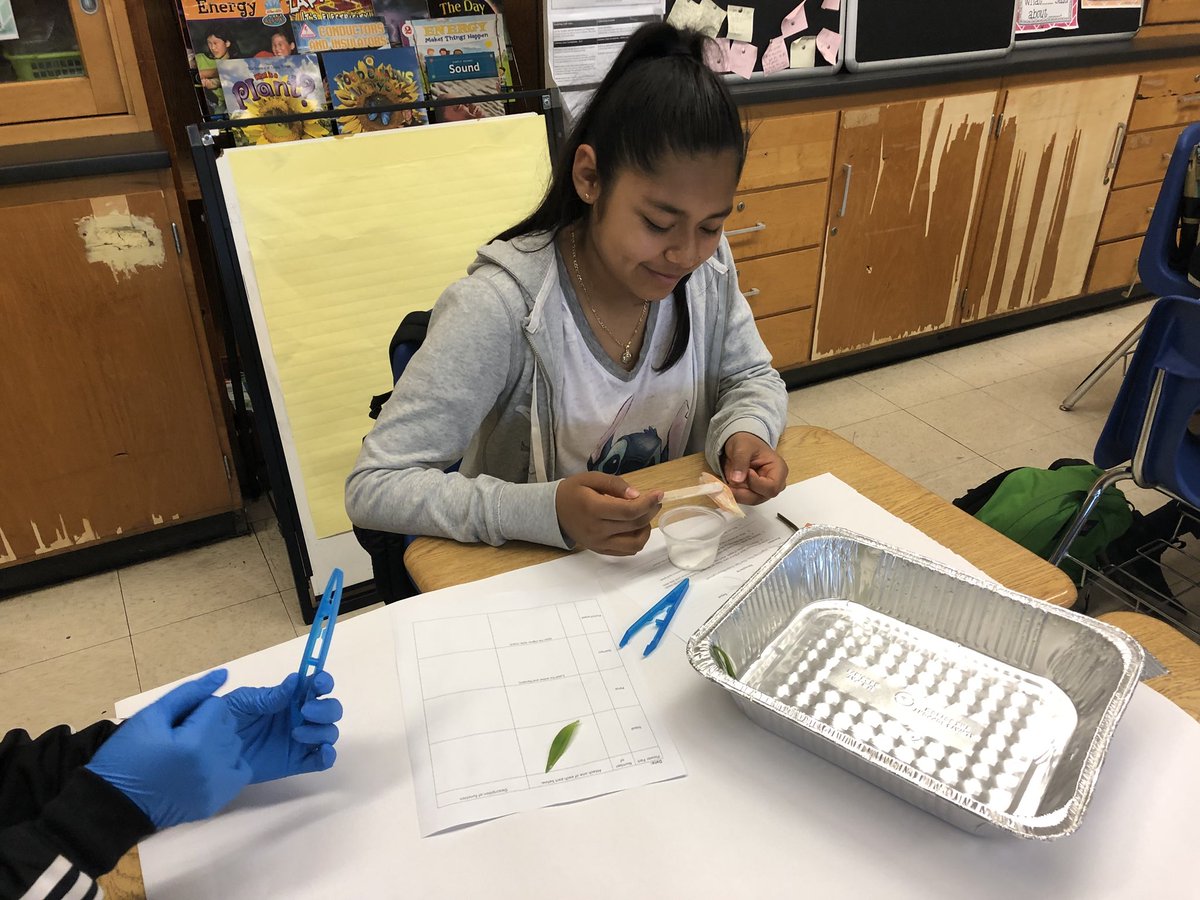 christinaAPMS's tweet photo. Fun with ๐บ @Gerbs10 @Asbury_ParkSD @ZDelOrbe #buildingabrighterfuture #innovateapsd https://t.co/fSAbmZcjJl
