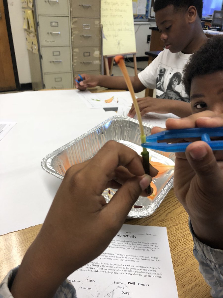 christinaAPMS's tweet photo. Fun with ๐บ @Gerbs10 @Asbury_ParkSD @ZDelOrbe #buildingabrighterfuture #innovateapsd https://t.co/fSAbmZcjJl