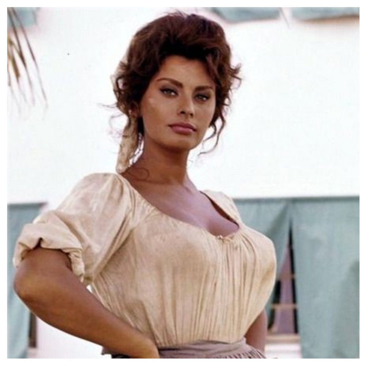 sophialoren hashtag on twitter