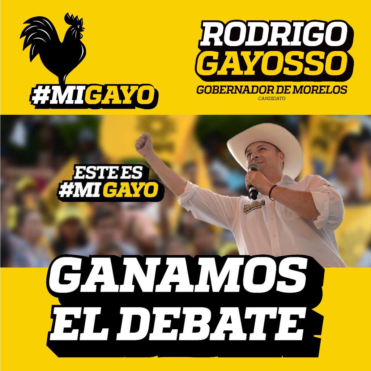 FridaFridaSHM's tweet photo. Yo tengo #MiGayo #GayossoGobernador https://t.co/gOgZg2lNs9
