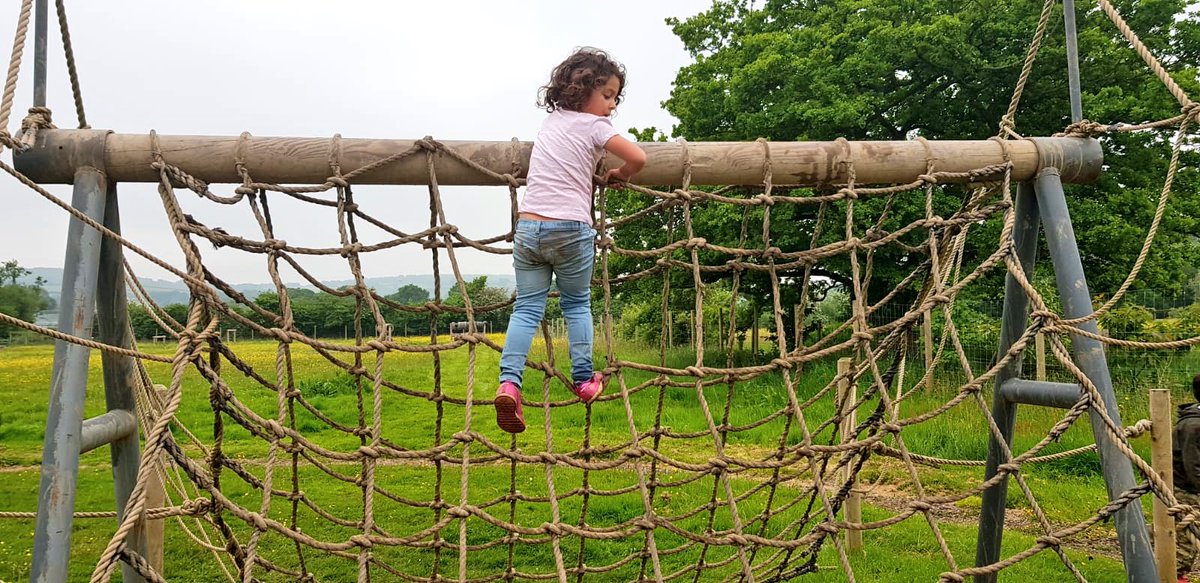 exploringexeter's tweet image. My babes had a great time with the cubs at @trail_bear last night. They got REALLY dirty! #ExploringExeter #Devon
